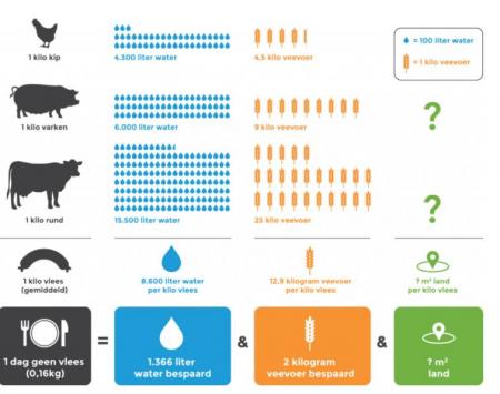 Infographic Vleesconsumptie © Happyvegan