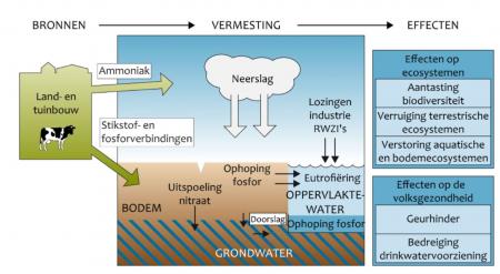 Impact van vermesting, bron Planbureau voor Leefomgeving