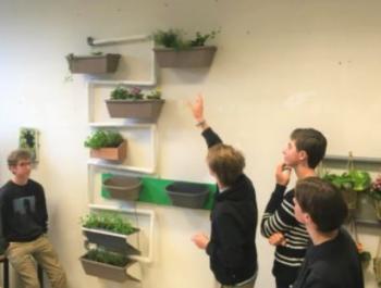 Leerlingen van het Koninklijk Lyceum Antwerpen kijken naar de plantenmuur die ze gemaakt hebben.