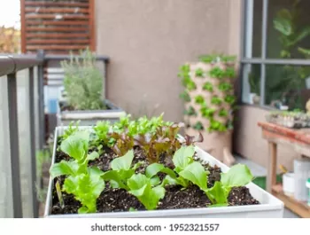 Vergroen je terras