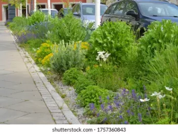 Flowers concept