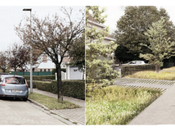 SintNiklaas_circulatieplan
